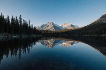 Photograph of a calm lake reflecting snow-capped mountains and a dense pine forest under a clear blue sky.