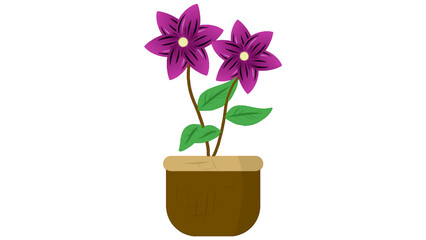 Purple potted flowers with green leaves