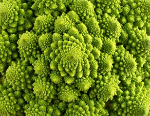 Close-up view of Romanesco broccoli florets