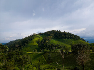Rolling Hills Under Cloudy Skies: A panoramic vista unfolds, revealing verdant rolling hills beneath a dramatic, cloud-filled sky, a symphony of nature's grandeur. 