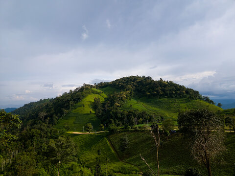 Rolling Hills Under Cloudy Skies: A panoramic vista unfolds, revealing verdant rolling hills beneath a dramatic, cloud-filled sky, a symphony of nature's grandeur. 