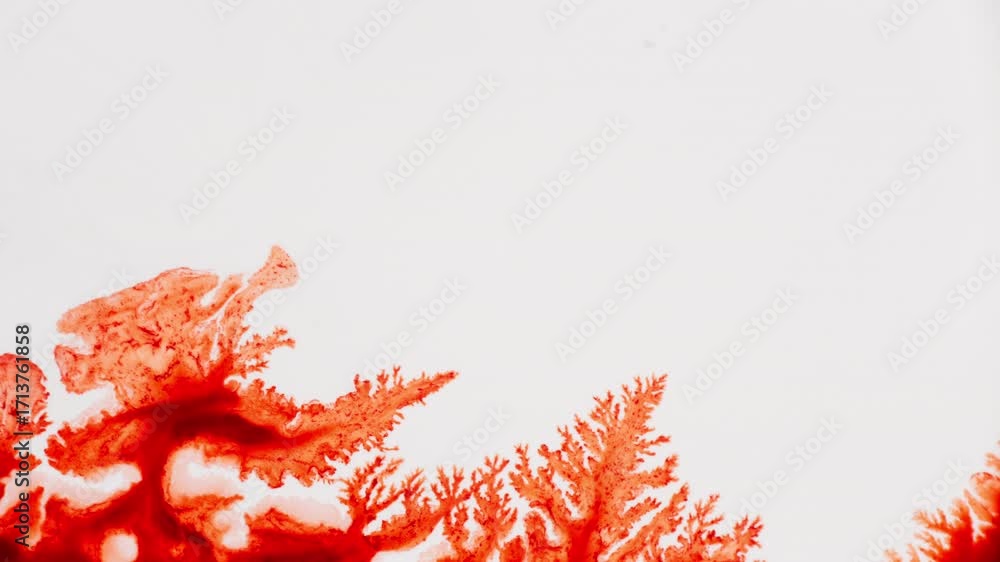Poster red fluid spreading in white surface creating an abstract background.