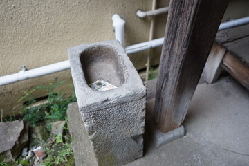 新撰組　試衛館稲荷神社