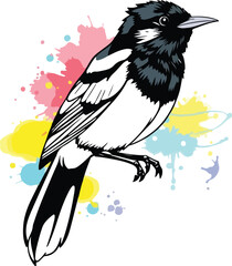 Fototapeta premium Magpie vector image logo