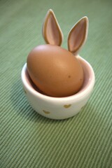 Close-up of a single brown chicken egg placed in a decorative Easter egg holder, isolated on a green background with copy space.