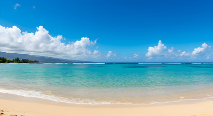 Panoramic Beach Scene with Turquoise Water and Clear Blue Sky