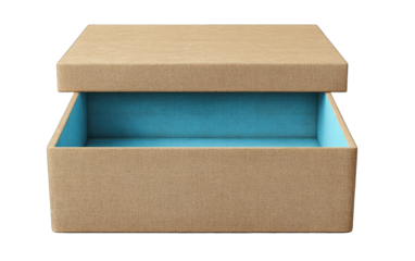 Empty light brown cardboard box, teal interior, open top