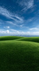 Fototapeta premium Serene Green Grass Field and Blue Sky