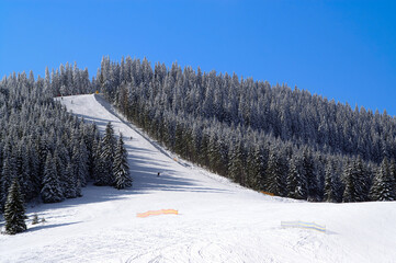 Ski Resort