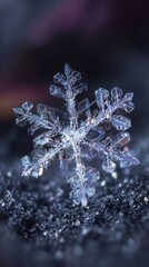 Intricate Snowflake Design Captured in Brilliant Detail Against a Sparkling Background Highlighting Nature's Winter Beauty and Unique Patterns