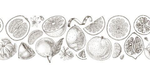 Seamless border with citrus fruits © Marina Gorskaya