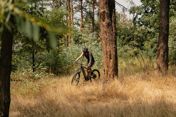 Cyclist riding through forest trail amidst trees and grass under daylight conditions