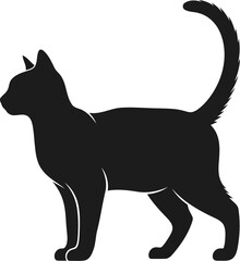 Elegant black cat silhouette standing gracefully isolated vector