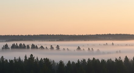 Serene Forest Landscape with Foggy Morning Mist and Soft Sunrise Hues