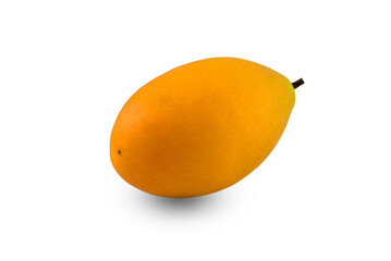 Marian plum on transparent png