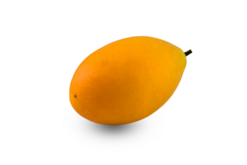 Marian plum on transparent png