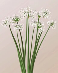 A beautiful arrangement of delicate white flowers with tall green stems, creating a fresh and serene atmosphere.