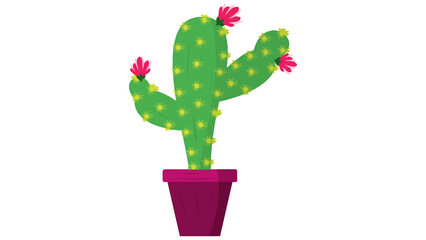Cactus in pot with blooming flowers vector