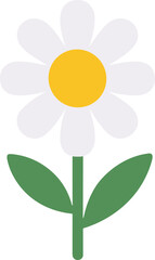 Simple Flat Style Daisy Flower with Stem and Leaves Illustration