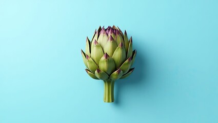 artichoke on a green background