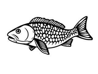 Fototapeta premium fish on a white background