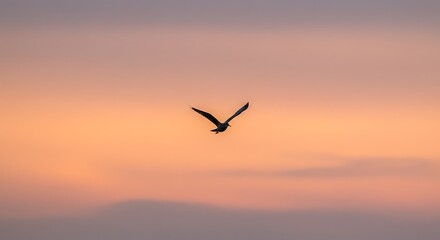 Silhouette of a solitary bird soaring gracefully across a pastel sunset sky