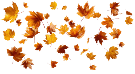 Falling autumn leaves (1)