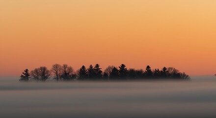 Silhouetted Trees Emerging from Fog Under a Warm Orange Sky