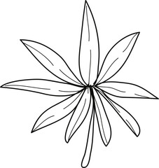 Detailed Black and White Outline of a Lupine Leaf with Eight Petals