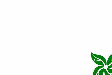 green leaves on white background