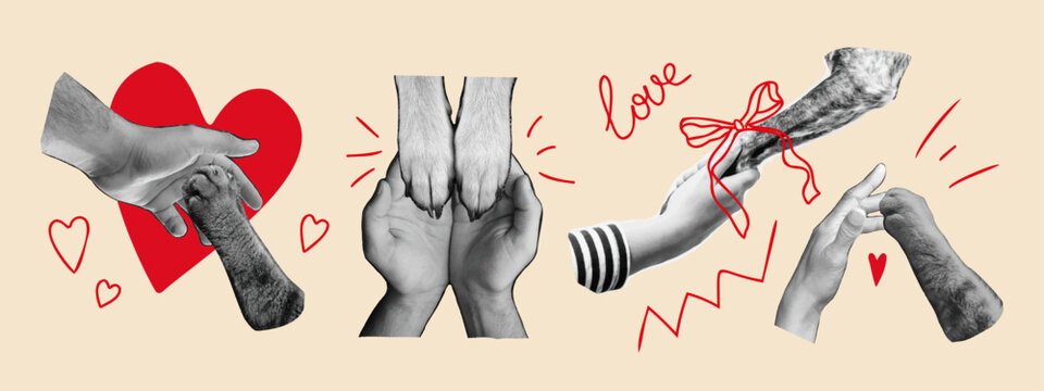 Human hands with dog and cat paws. Collage design elements in trendy pop art style. Paw giving high five, paws in hands. Pet care, animal protection, friendship, trust, love, vet clinic concept.Vector