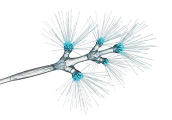 Intricate, futuristic, translucent silicon branch with luminous cyan fiber optic filaments on transparent studio background, photorealistic macro, cutting-edge innovation and digital connectivity