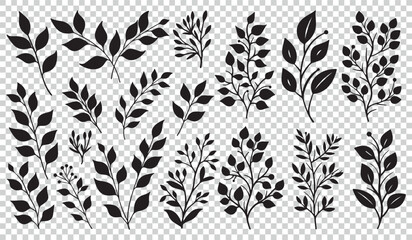 Leaves Icons Set - Different Vector Illustrations Isolated On Transparent Background