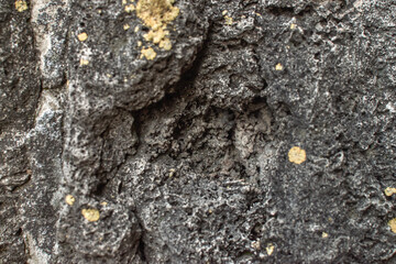 Rough Stone Surface with Cracks. Close-up of a rough stone wall texture with cracks and natural imperfections, perfect for backgrounds or design elements.