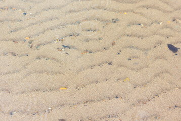 sand on the river bottom under clear water with raindrops