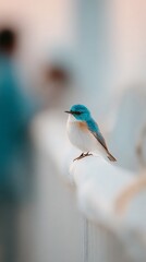 Charming Small Blue and White Bird Gracefully Perched on a White Railing with Bokeh Background