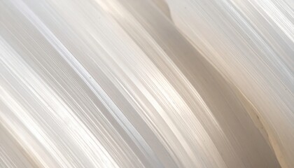 Selenite gypsum with silky striations pale neutrals central copy field representing mineral texture suitable for decor wellness and editorial design