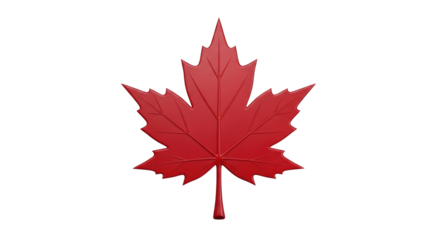 Isolated Canadian maple leaf emblem for national symbol, nature, and patriotism theme