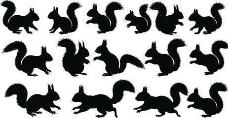 Black Squirrel Silhouette Vector Set in Various Poses for Wildlife Illustration, Animal Behavior Reference, Nature Design, Icon, Clipart Use