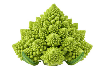 Isolated Romanesco broccoli vegetable, complex visual, fractal nature, Fibonacci sequence
