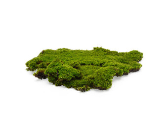 Green moss isolated on transparen png. Nature background.