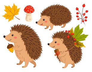 Cute hedgehogs with autumnal elements
