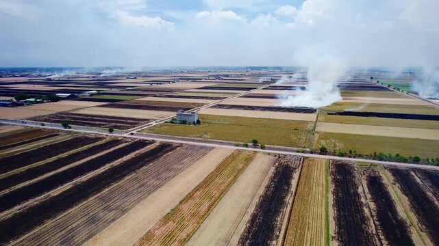 Smoke rising from agricultural rice fields during burn practice &mdash; Drone Shot