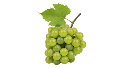 Isolated cluster of fresh green grapes with leaf against neutral backdrop, ripe fruit