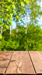Wooden table in a forest