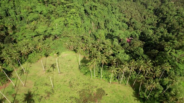 Revealing Birdseye Aerial View of Katibawasan Falls ib Landscape of Camiguin Island, Philippines