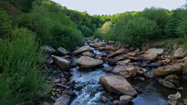 Shallow rocky stream at Gu&eacute; giraud forest with stones and green bushes on a sunny day, Saint-Junien, Haute-Vienne, France.