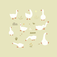 Set with ducks, bees, flowers and plants. Vector illustration with hand drawn animals and plants, cute set.