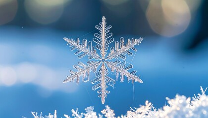 A detailed snowflake against a bokeh blue background