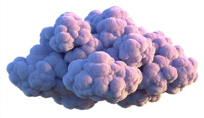 Fluffy, light purple cloud cluster against white